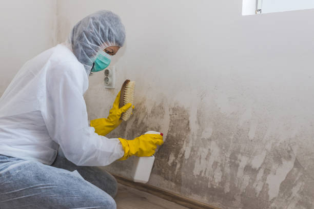 Crawl Space Mold Removal in Southern Shores, NC