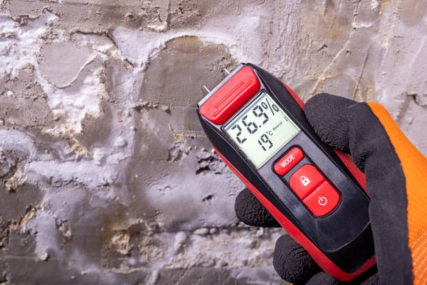 Reliable Southern Shores, NC Mold Removal Solutions