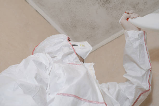 Best Black Mold Removal  in Southern Shores, NC